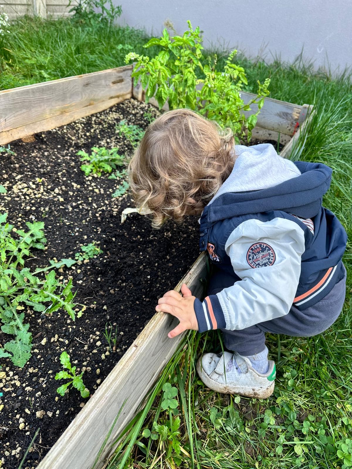 Bambini che corrono nel giardino verde